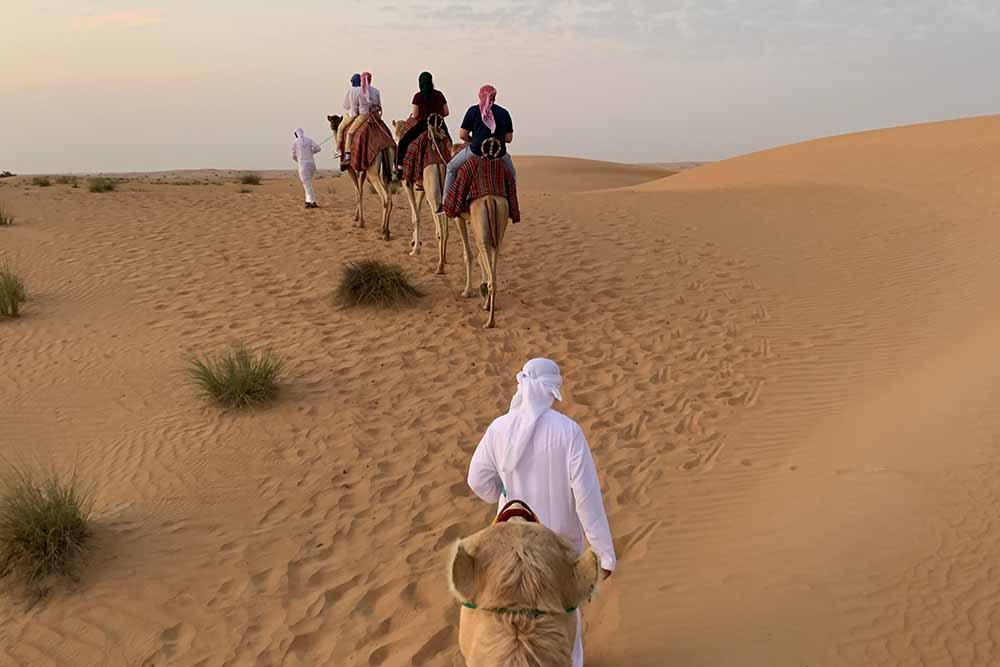 Camel Ride Dubai
