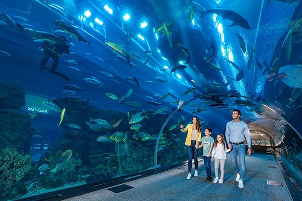 Dubai Aquarium and Underwater Zoo