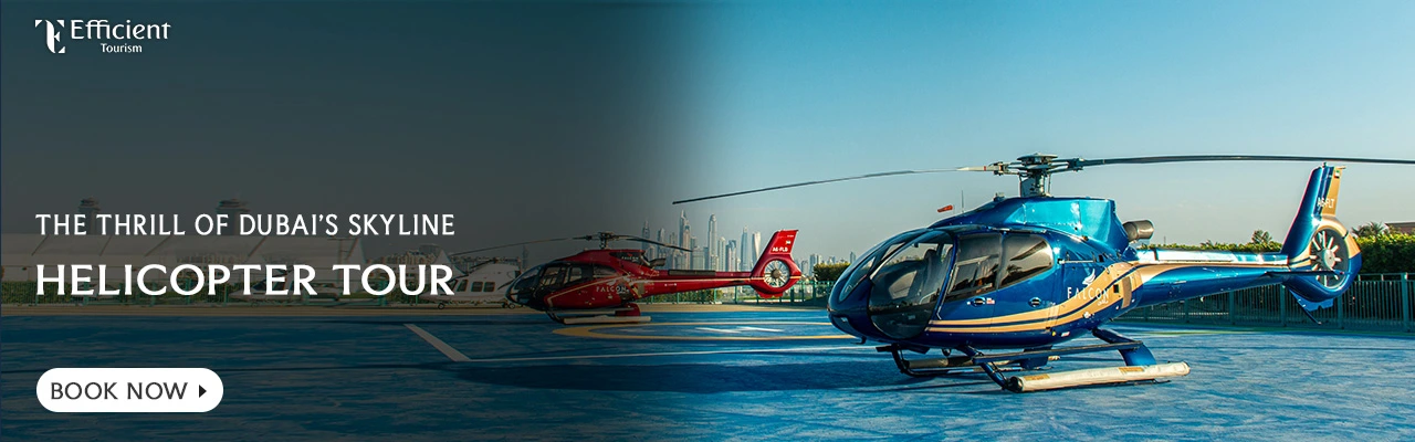 Helicopter Tour Ride