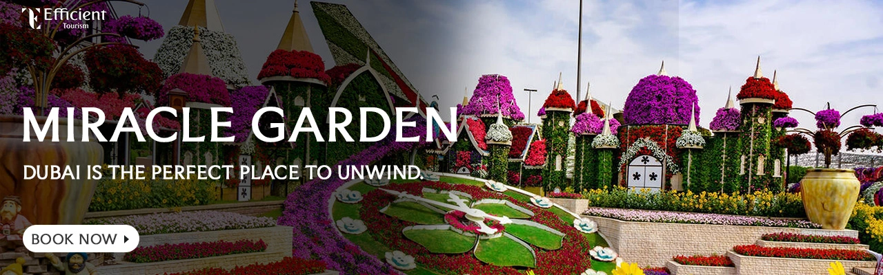 Miracle Garden Dubai