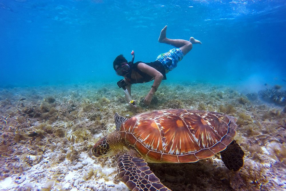 Scuba Diving Trips in Musandam Dibba