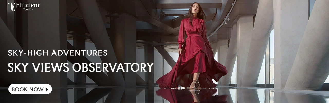 Sky Views Observatory