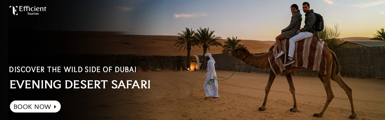 Evening Desert Safari Dubai