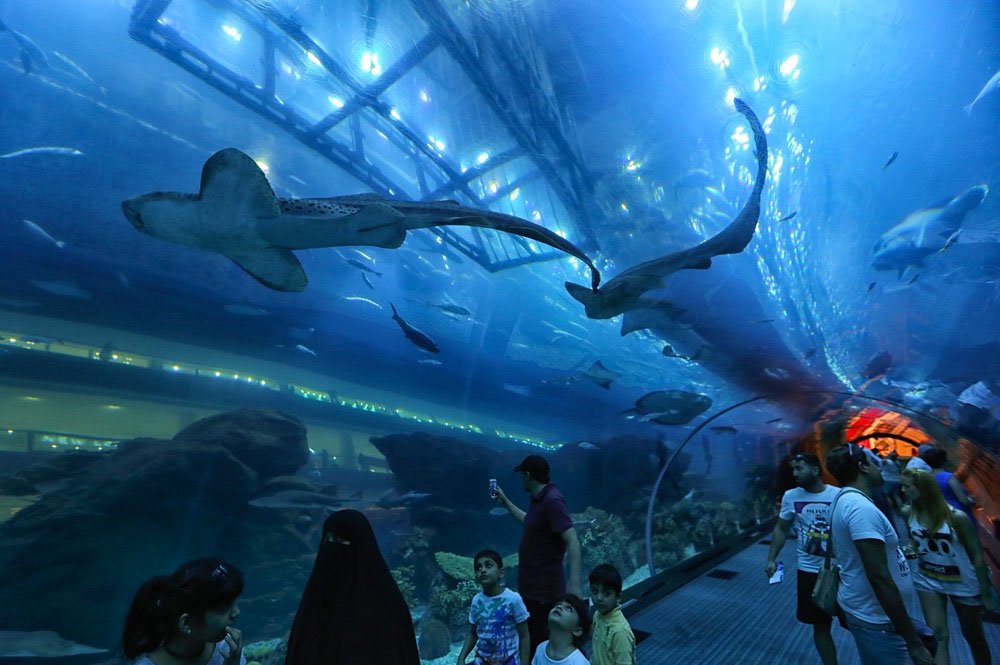 Dubai mall aquarium