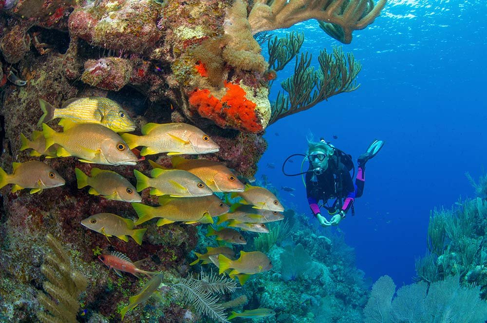 Dubai scuba diving tour