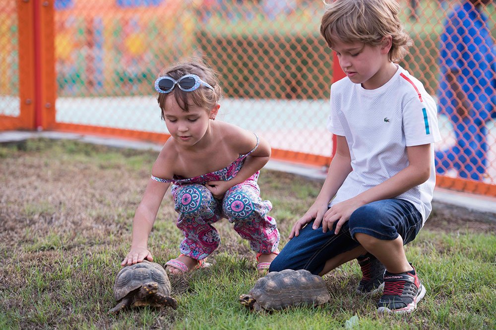 Kids enjoying at the Dubai Safari Park