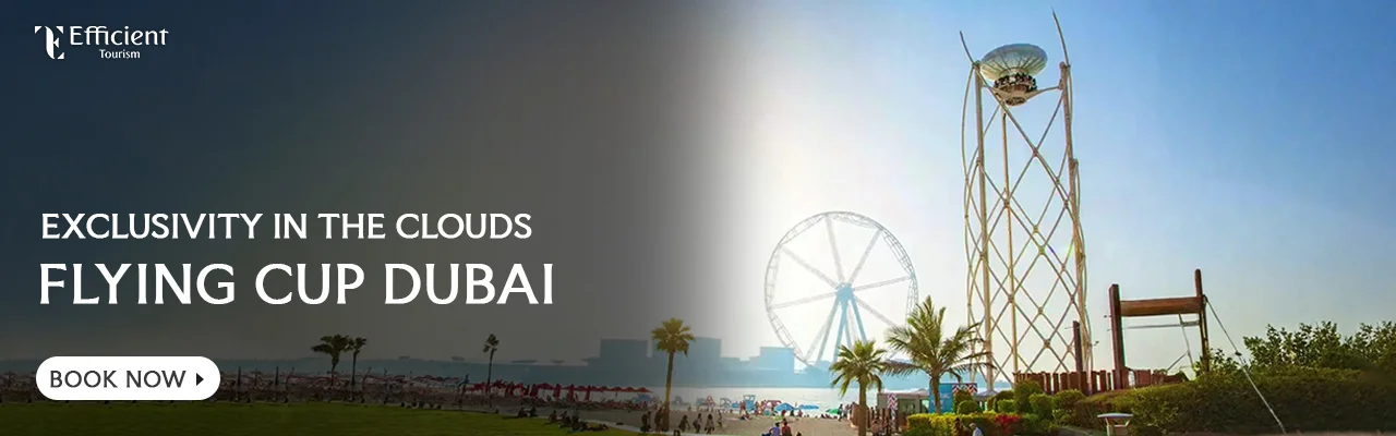 Flying Cup Dubai