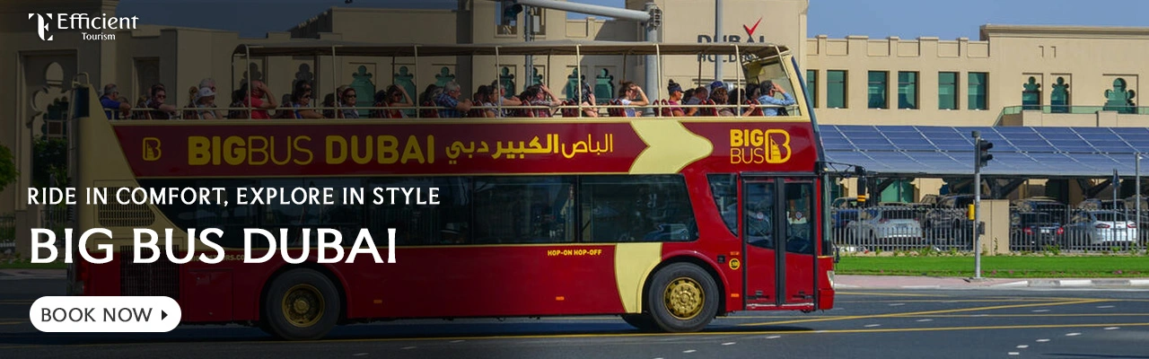 Big Bus Tours Dubai