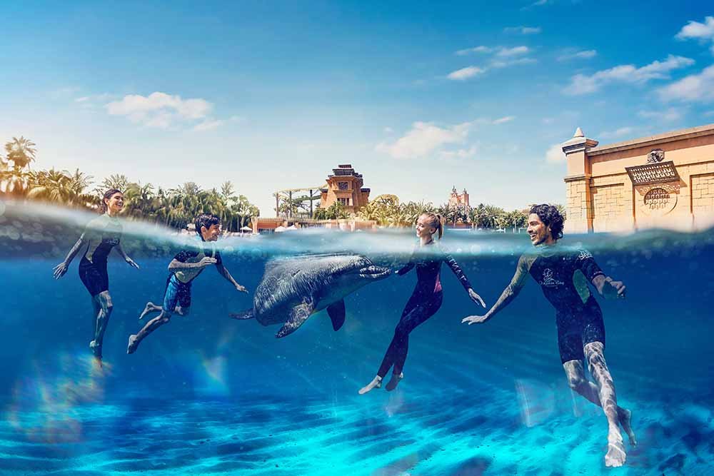 Dolphin Bay Atlantis The Palm