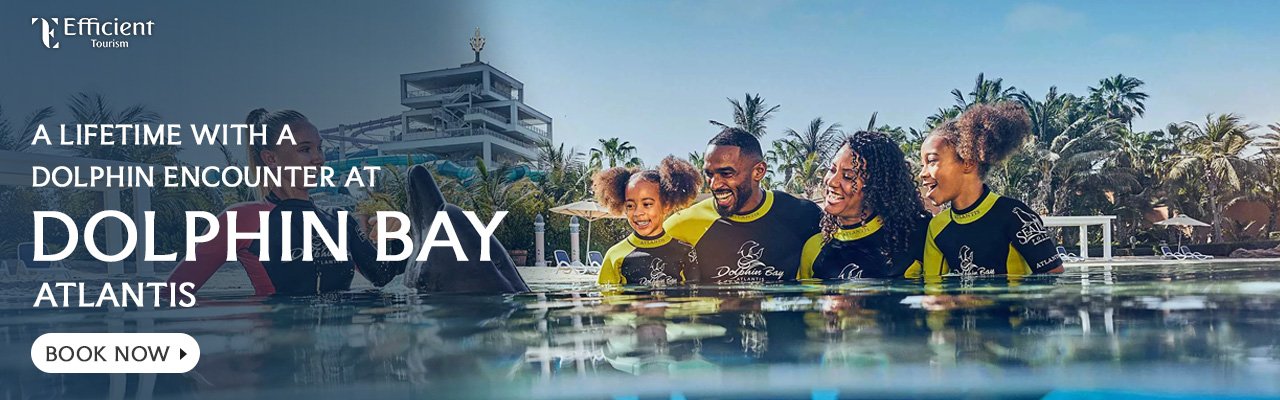 Dolphin Bay Atlantis