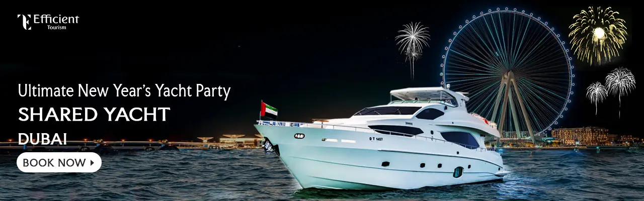 New Year Shared Yacht Tour