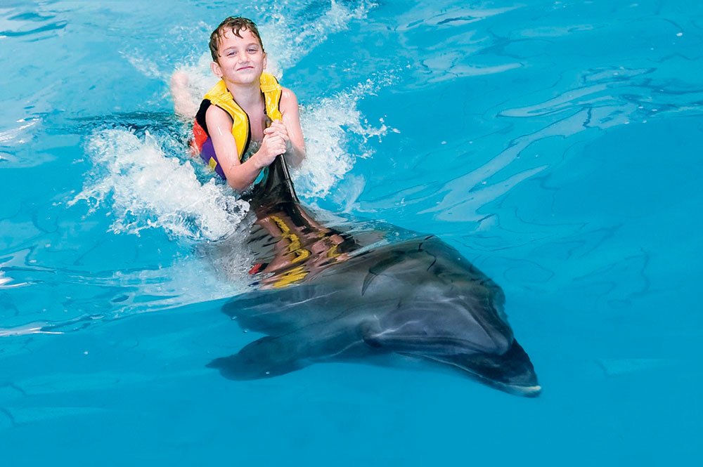 Boy Swim with Dolphins