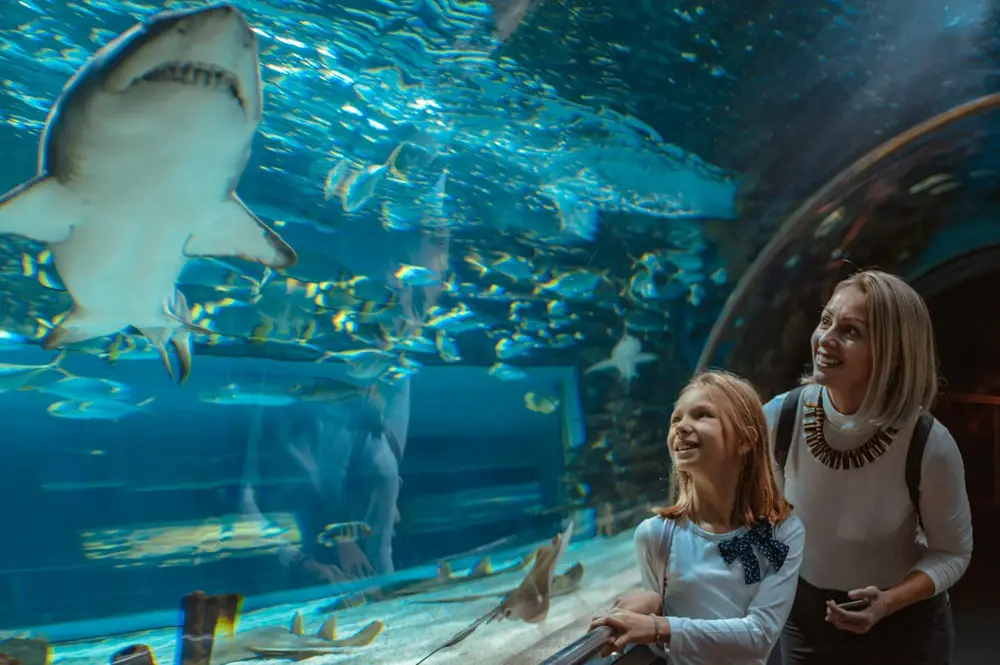 The National Aquarium Abu Dhabi