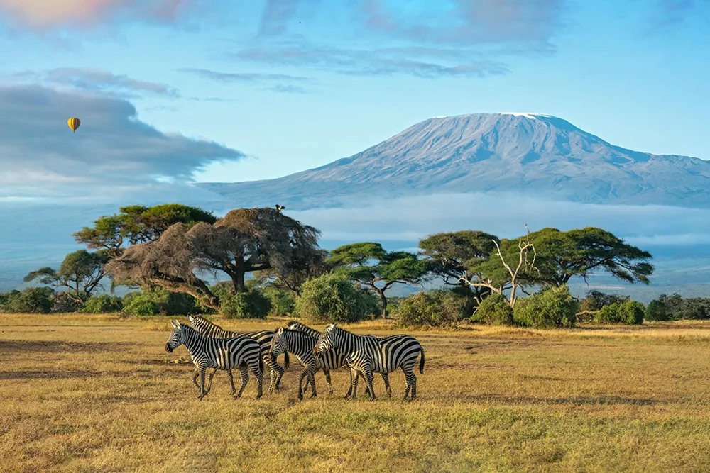Kenya Tour Packages