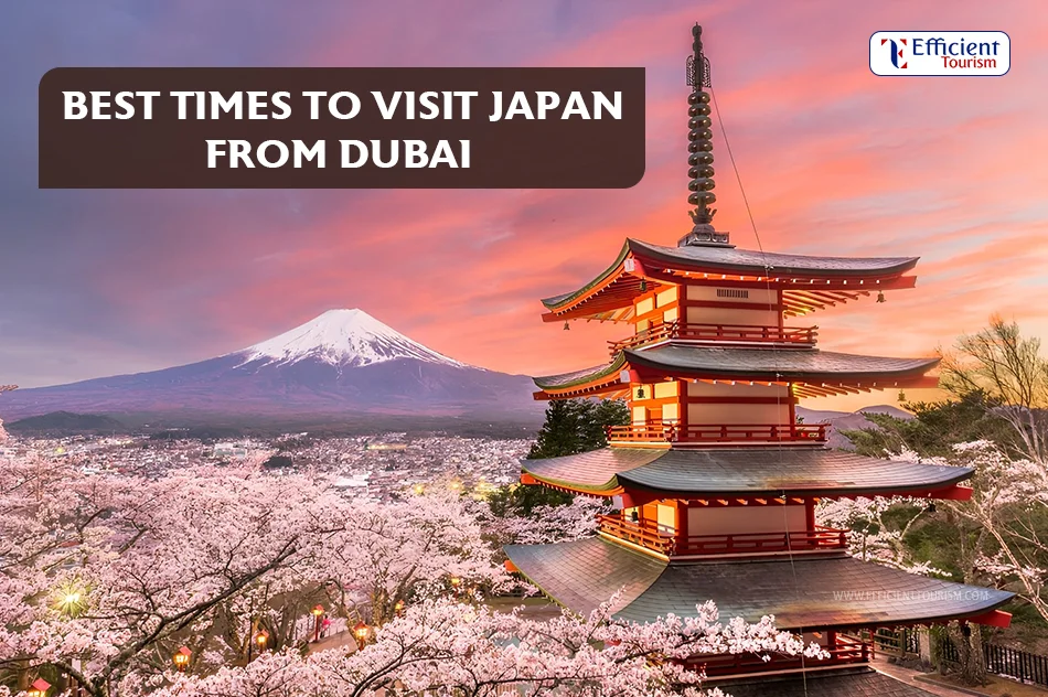 Best times to visit Japan from Dubai