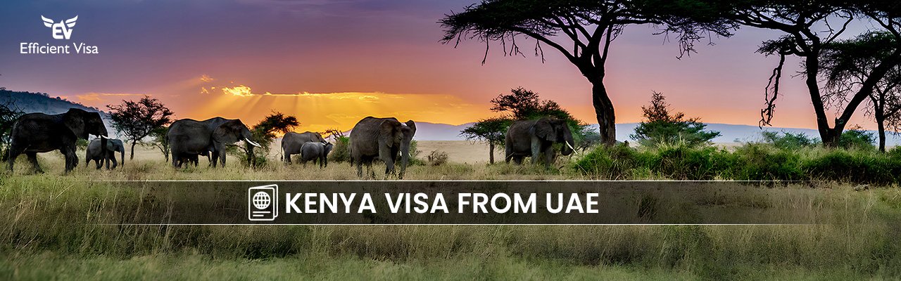 Kenya Visa from Dubai