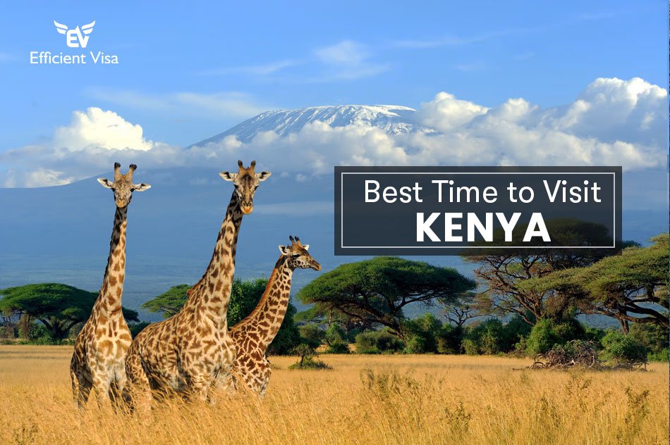 Best Time to Visit Kenya