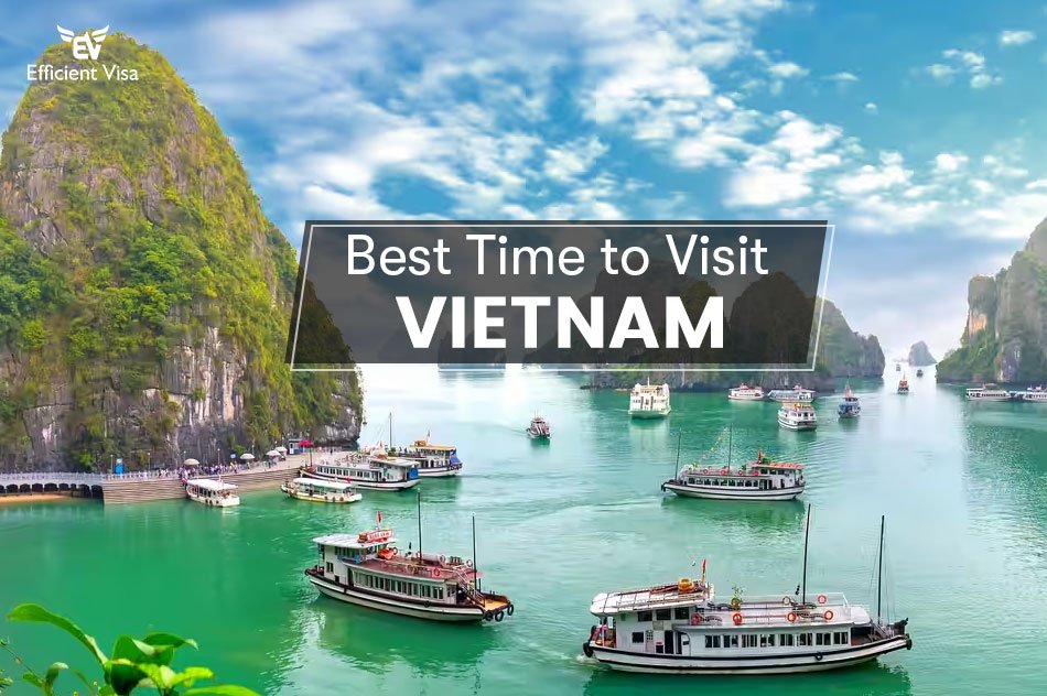 Best Time to Visit Vietnam